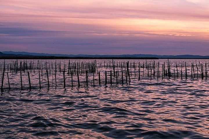 Albufera Natur- & Bootstour von Valencia — Foto 2