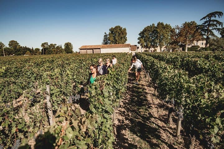 Saint-Emilion Essen- und Weintour — Foto 2