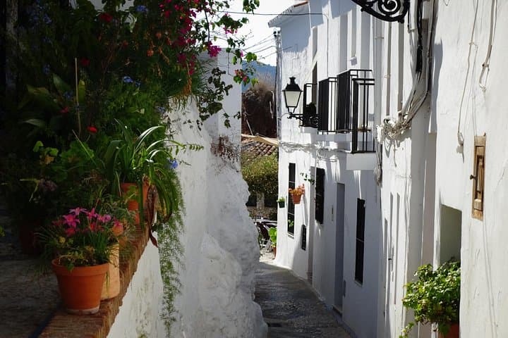 Tour guidato a piedi del centro storico di Frigiliana — foto 5