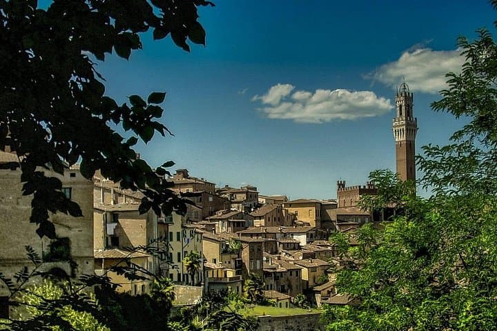 Tour Privato della Torre Pendente e dei punti salienti di Pisa con Guida Locale — foto 3