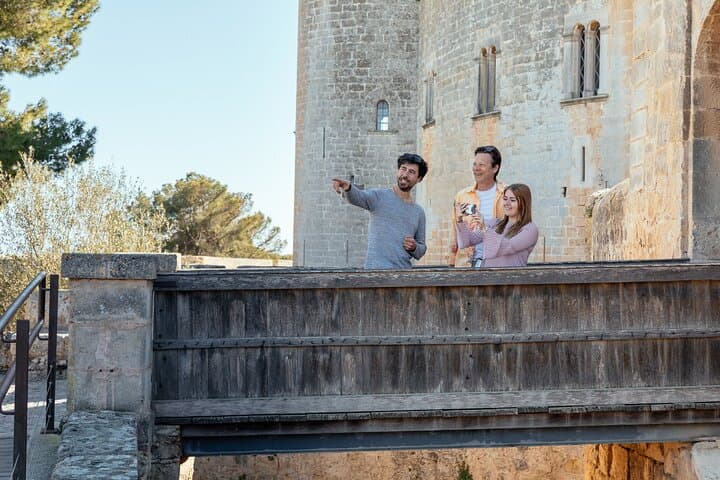 Excursion privée au Château de Bellver à Palma de Majorque — photo 5