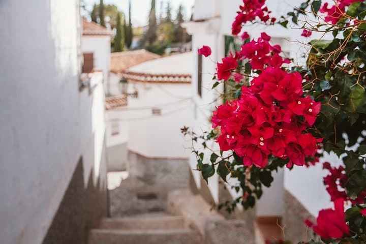 Tour a piedi dell'Albaicín e del Sacromonte — foto 3