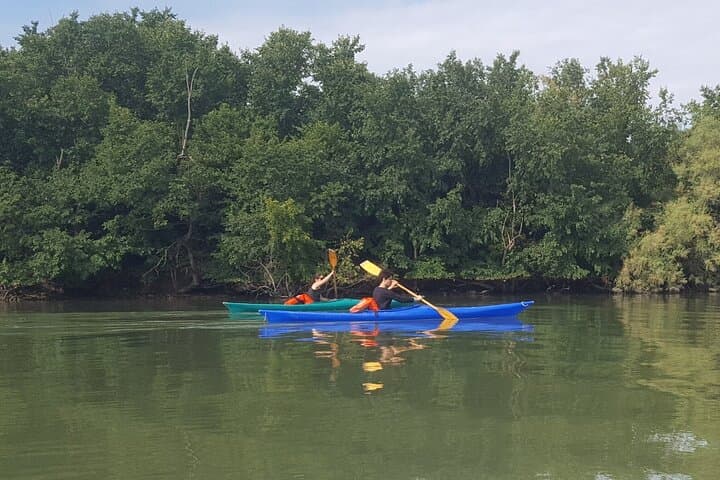 Tour Privato in Kayak nella Laguna di Venezia — foto 4