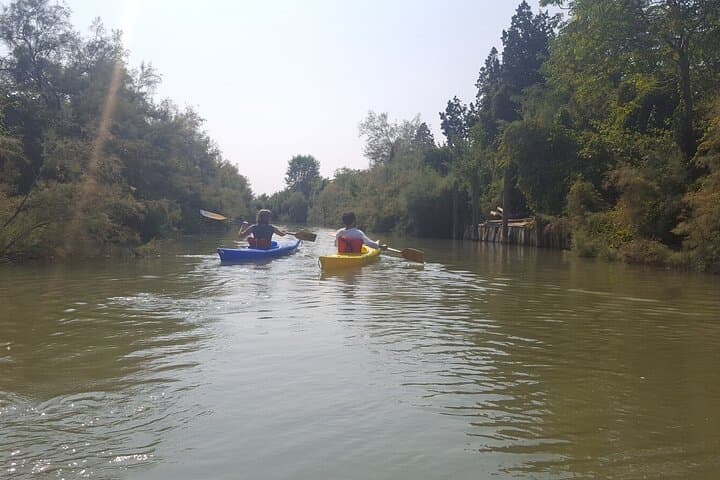 Tour Privato in Kayak nella Laguna di Venezia — foto 5