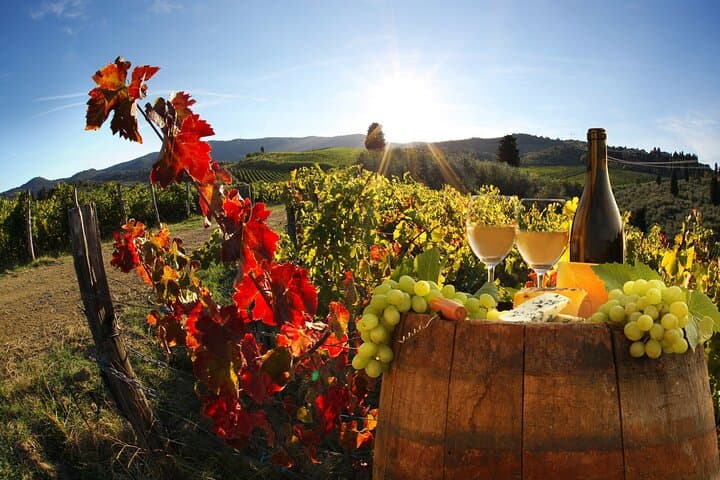 Die große Weintour – 2 Weingüter mit Chianti & SuperTuscan — Foto 4