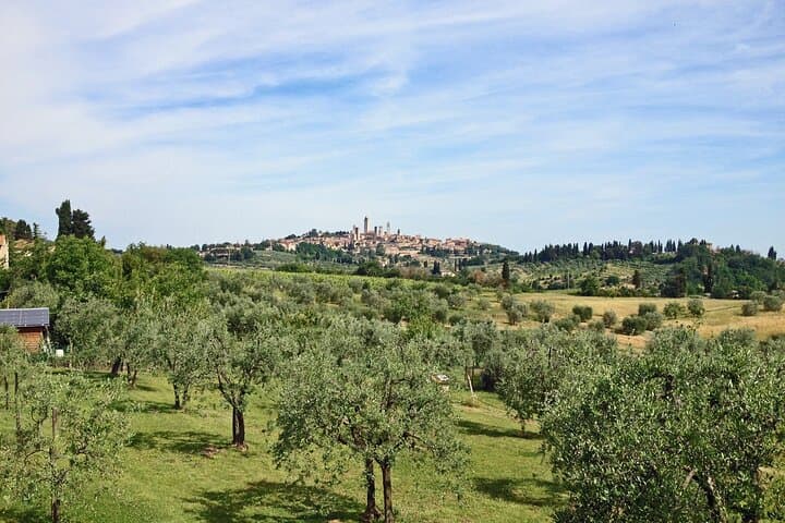 San Gimignano und Weinerlebnis mit leichtem Mittagessen ab Pisa — Foto 3