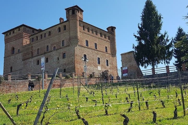Biglietto d'ingresso al Museo delle Langhe — foto 3