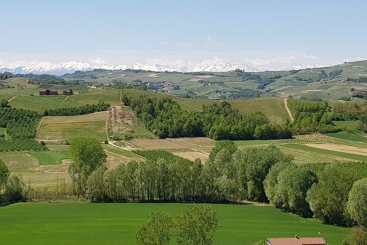 Biglietto d'ingresso al Museo delle Langhe — foto 4