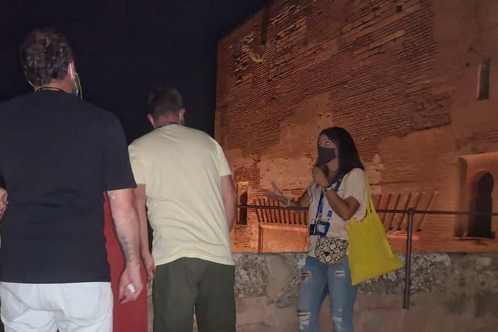 Tour Nocturno Privado de la Alhambra — foto 3