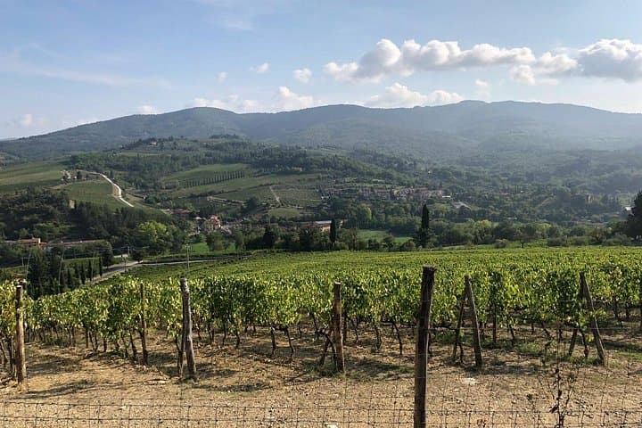 Private Chianti Weinverkostung von Florenz, Halbtägige Erfahrung — Foto 3