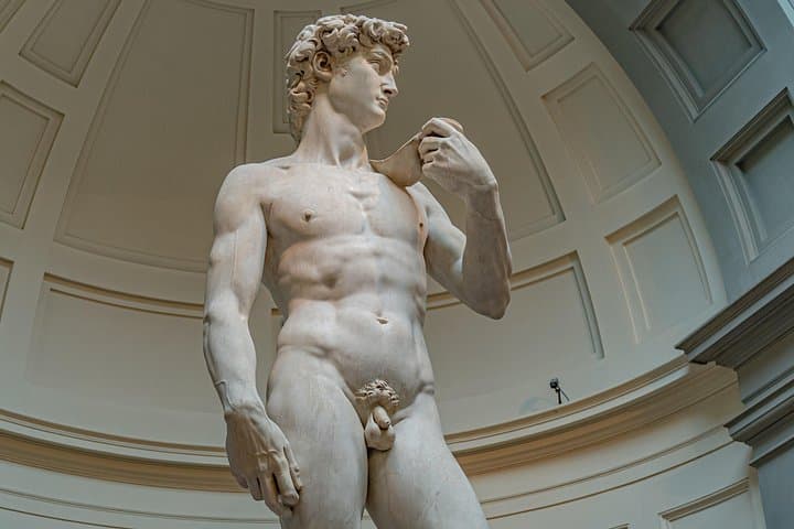 Firenze: Tour Guidato per Piccoli Gruppi di Michelangelo's David