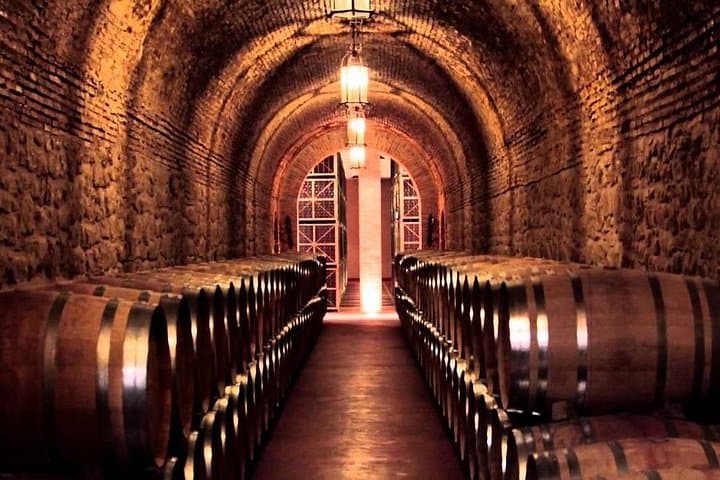 Visite Dégustation de Vin Txakoli à Bilbao — photo 5