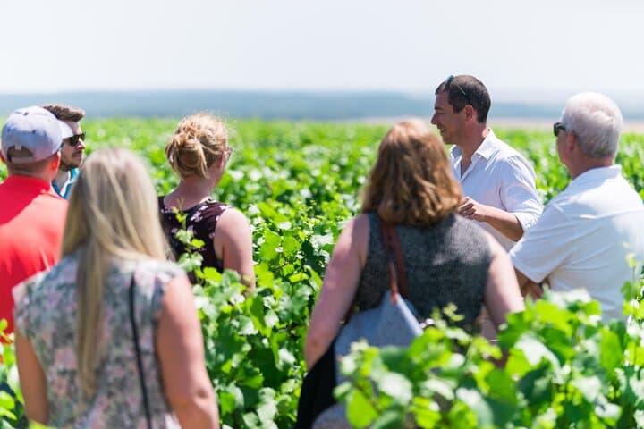 Tour de Cata de Vinos en Borgoña para Grupos Reducidos en Chablis desde París — foto 2
