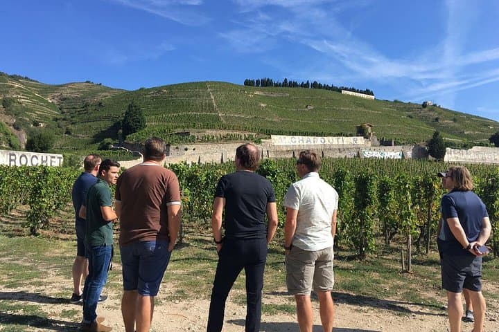 Nordrhône-Tal ab Lyon – Ganztägige Tour