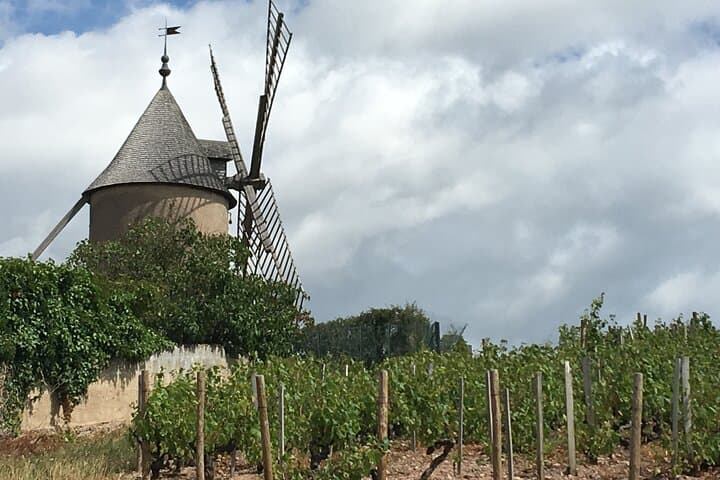 Beaujolais Crus Wein Tour von Lyon – Ganztägig — Foto 5