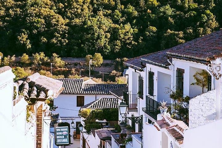 Geführte Wanderung durch Albayzin und Sacromonte in Granada — Foto 5