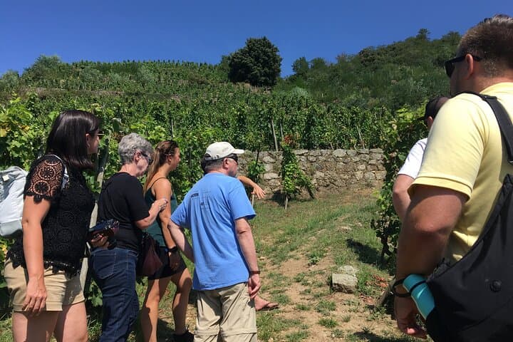 Weintour im nördlichen Rhône-Tal von Lyon Halbtags — Foto 2