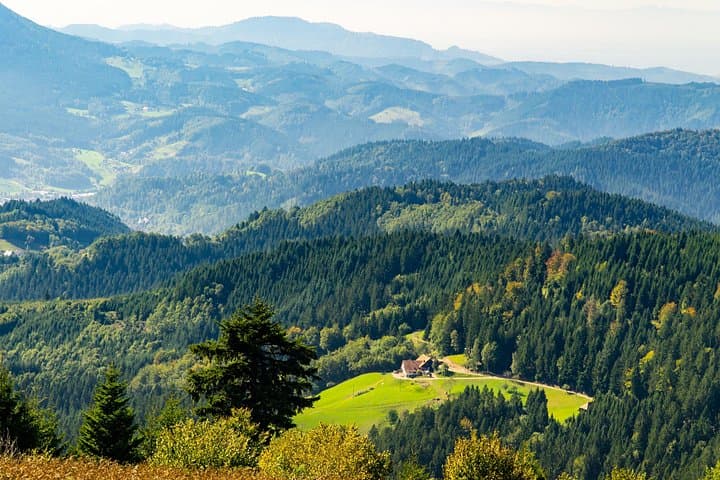 Excursion d'une journée en Allemagne avec Baden-Baden et la Forêt-Noire depuis Strasbourg