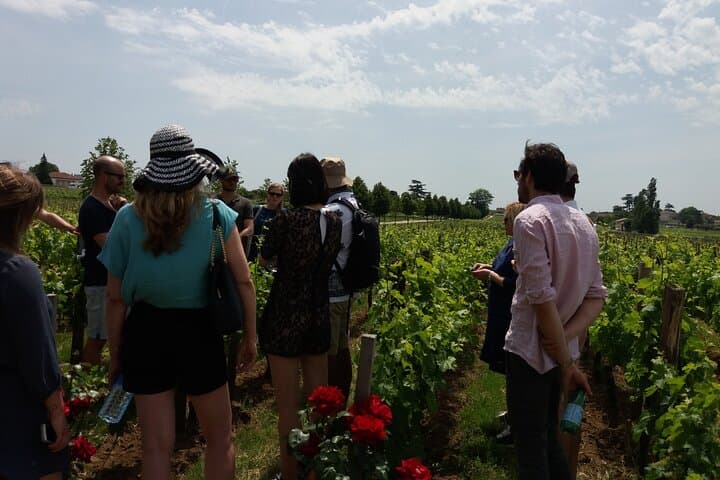 Visite Dégustation de Vin à Saint Emilion - Demi-journée depuis Bordeaux — photo 2