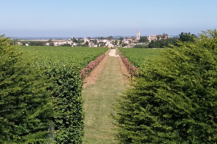 Visite Dégustation de Vin à Saint Emilion - Demi-journée depuis Bordeaux — photo 5