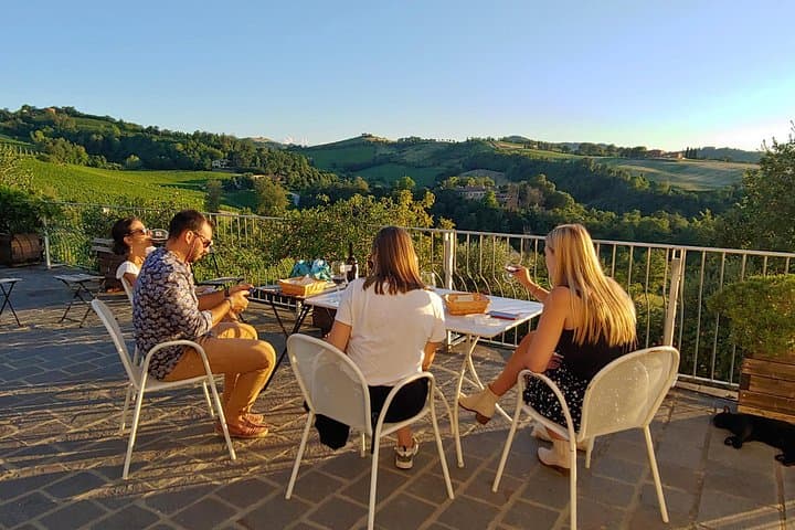 Bologna Hills: Bio-DOCG Weinverkostung & Weingutbesichtigung