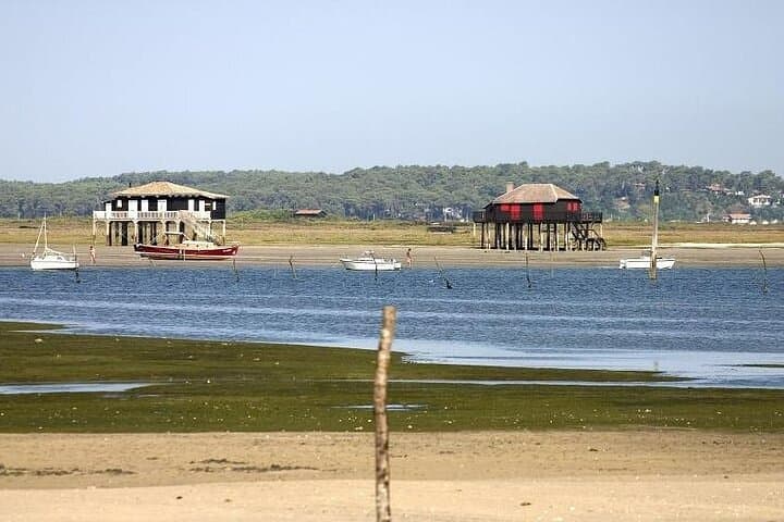 Excursion privée d'une journée à Arcachon depuis Bordeaux — photo 4