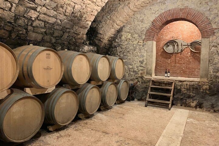 Esperienza Champagne in una Cantina Boutique — foto 5