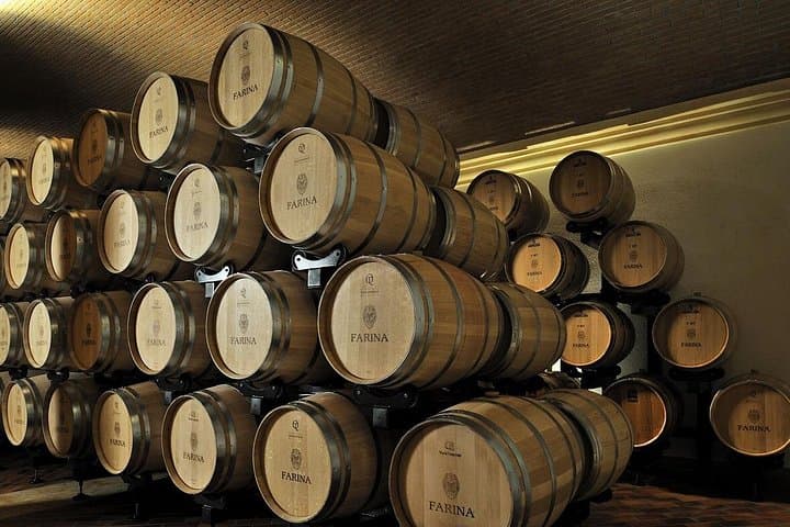 Weinberg-Tour mit leichtem Mittagessen in Valpolicella — Foto 5