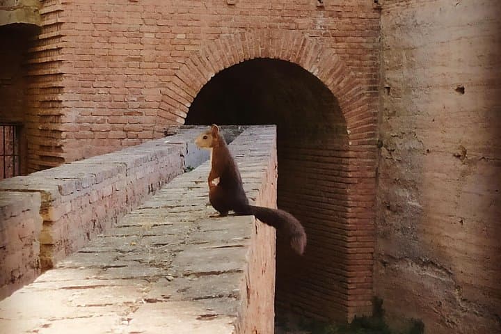 Alhambra Completa con guía — foto 4