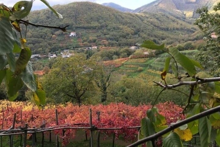 Weinverkostung Tenuta San Francesco — Foto 4