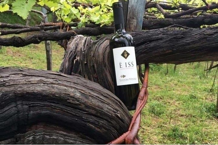 Weinverkostung Tenuta San Francesco — Foto 2