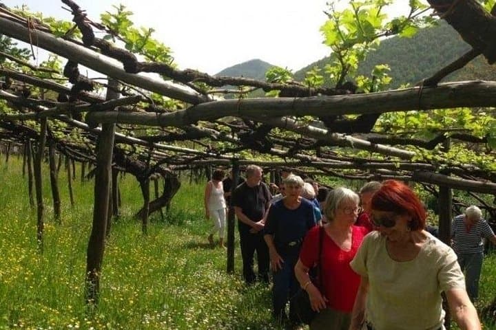 Weinverkostung Tenuta San Francesco — Foto 5