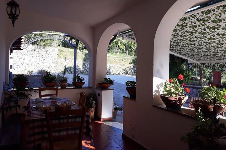 Goblet of Stars in Tramonti — Foto 2