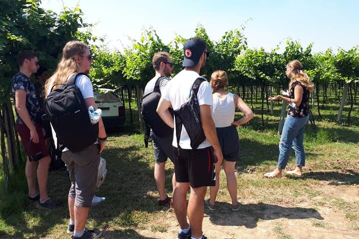 Amarone Wein Tour in Verona — Foto 4