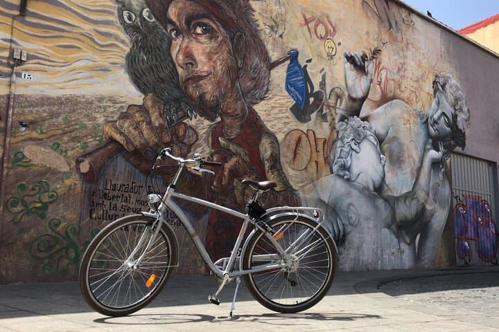 Tour Privato dell'Arte di Strada a Valencia in Bicicletta o Elettrico — foto 3