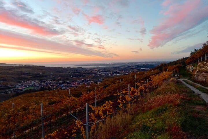 Visite des Vins Prosecco et Méthode Classique de Vérone — photo 5