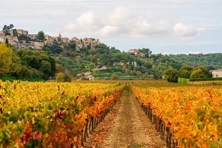 Excursion en petit groupe dans les villages perchés du Luberon au départ d'Avignon — photo 5
