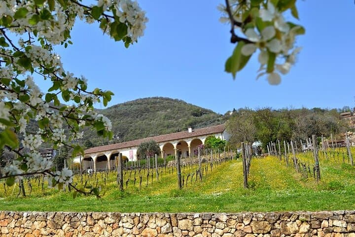 Visite des Vins Prosecco et Méthode Classique de Vérone — photo 2