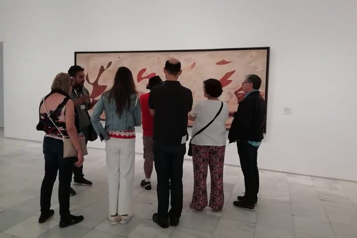 Visita Guidata al Museo Reina Sofia di Madrid — foto 5