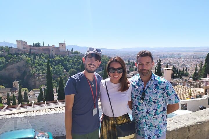 Private Tour der Alhambra und Nasridenpaläste, Granada — Foto 3