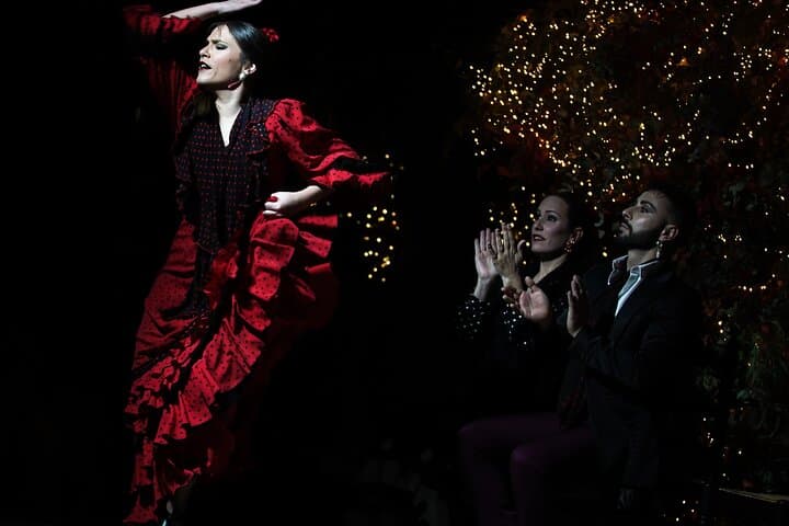 Flamenco Show &amp; Special Menu at Torres Bermejas in Madrid — photo 4