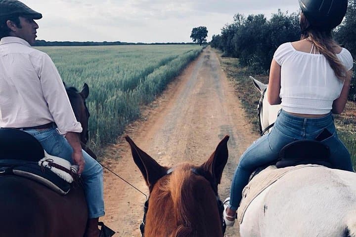 Tour a Cavallo a Granada e Sierra Nevada — foto 3