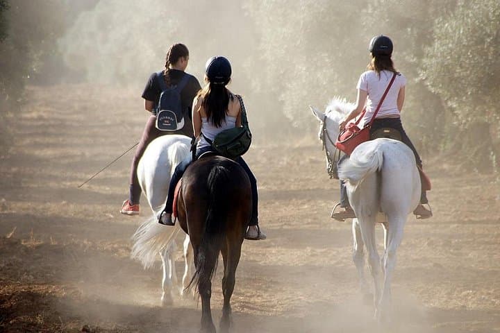 Tour a Cavallo a Granada e Sierra Nevada — foto 2