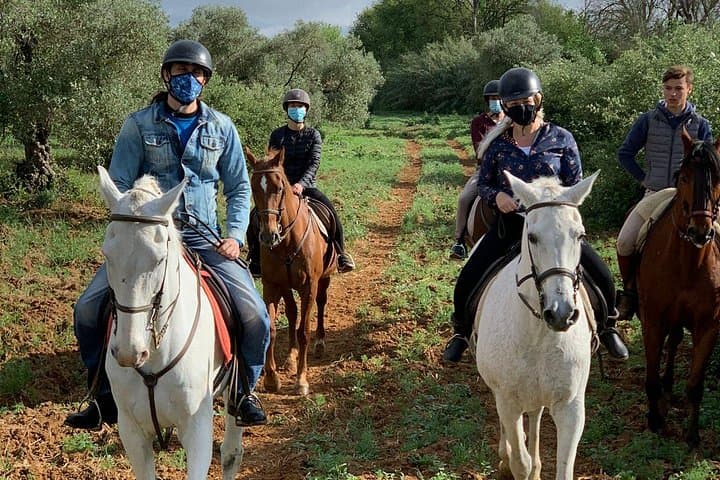 Tour a Cavallo a Granada e Sierra Nevada — foto 4