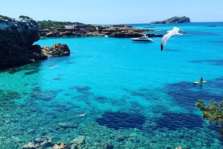 Aventure SUP à Ibiza à San Antonio — photo 5
