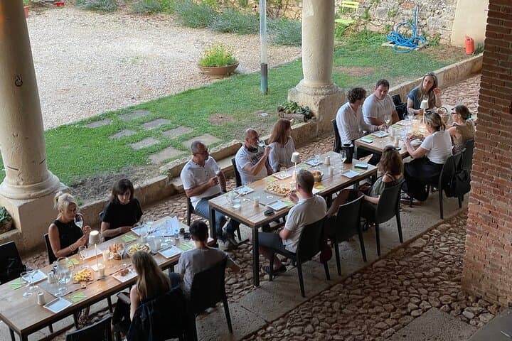 Tour del Prosecco e Vini Spumanti Metodo Classico da Verona