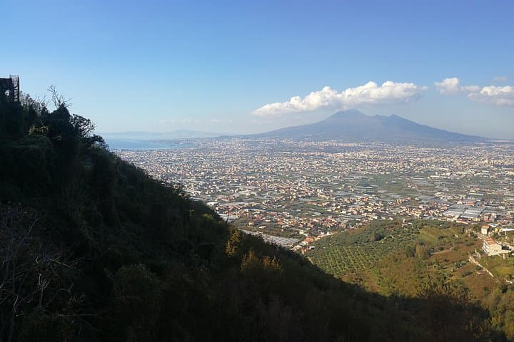 Escursione al Vesuvio e a Ercolano (6 ore) — foto 4