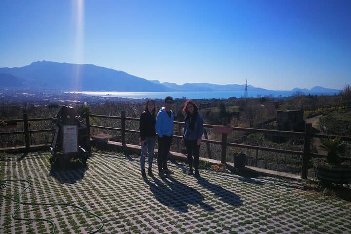 Escursione al Vesuvio e a Ercolano (6 ore) — foto 5