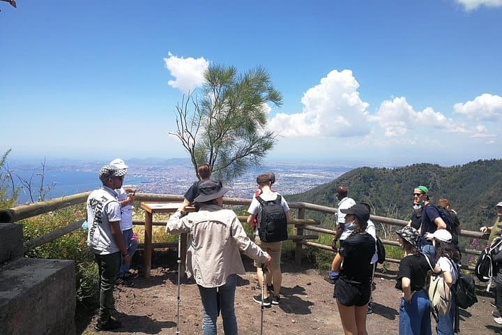 Escursione al Vesuvio e a Ercolano (6 ore) — foto 2
