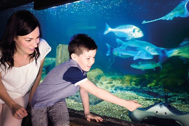 Biglietto d'ingresso per SEA LIFE Monaco — foto 2